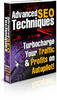 Thumbnail Advanced SEO Techniques - Turbocharge Your Traffic & Profits Thumbnail Advanced SEO Techniques - Turbocharge Your Traffic & Profits