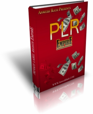 Product picture PLR Empire eBook