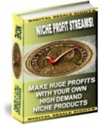 Product picture Niche Profit Streams With Master Resale Rights