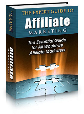 Product picture *NEW* The Expert Guide to Affiliate Marketing  With Private Labels Rights