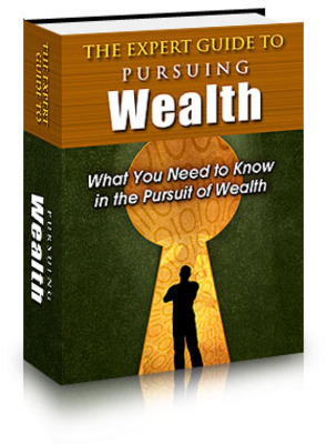 Product picture The Expert Guide to Pursuing Wealth With Private Labels Rights 