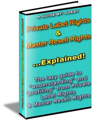 Product picture Private Label Rights & Master Resell Rights.Explained. MRR