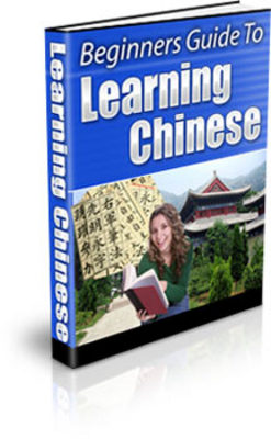Product picture *NEW* Beginners Guide To Learning Chinese With MRR
